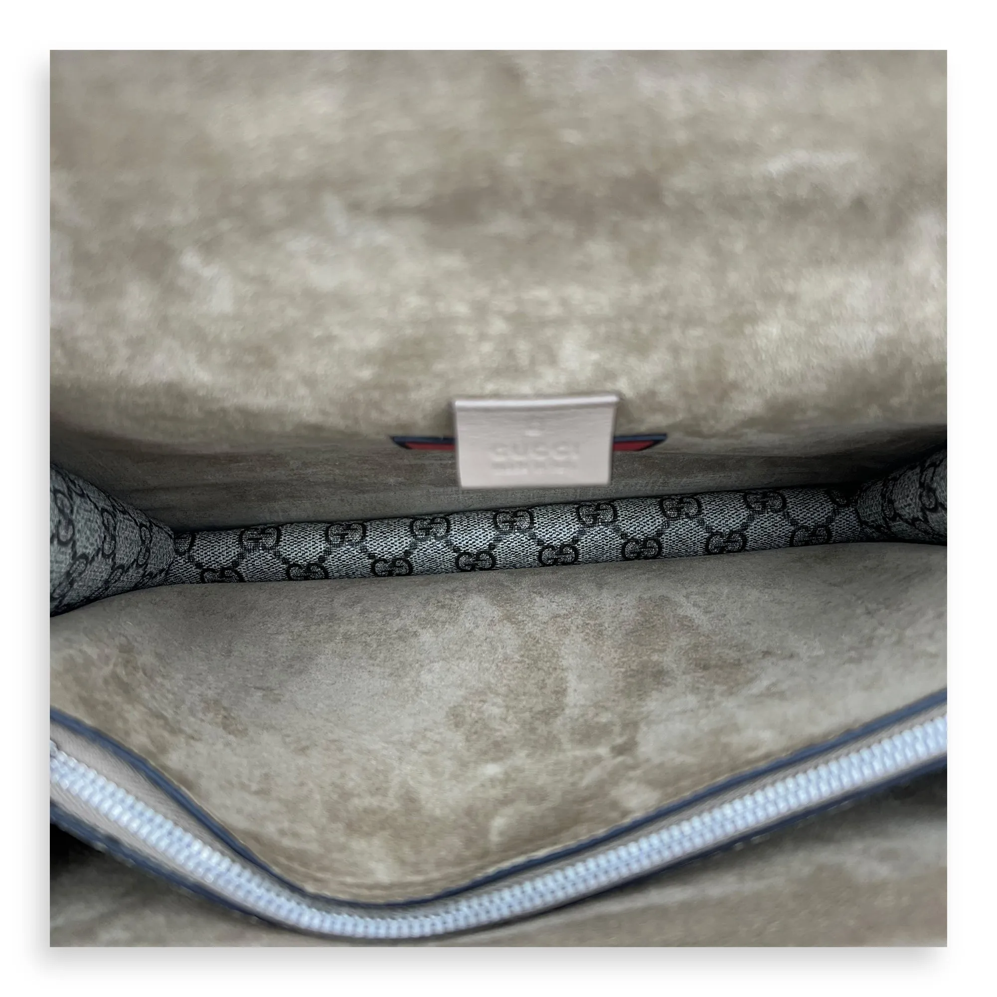 Dionysus Shoulder Bag Grey in Coated Canvas, Silver hardware